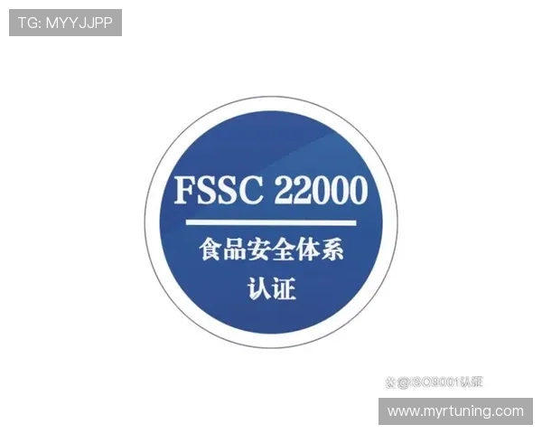 凯发娱乐网址官方地址官方入口安全验证流程,保障您的账户安全 凯发娱乐网址官方地址官方入口安全验证流程,保障您的账户安全