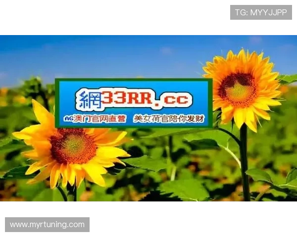 分析BG视讯在不同平台的支付方式多样性与提现速度,提升玩家资金周转效率的实用建议 分析BG视讯在不同平台的支付方式多样性与提现速度,提升玩家资金周转效率的实用建议