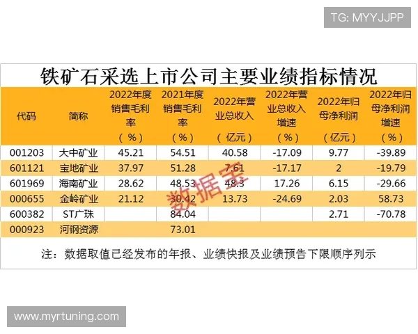 科学运用百家乐稳赢公式实现持续盈利的实用指南与技巧解析